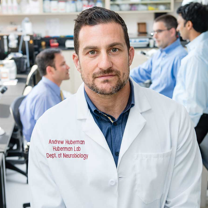 Dr. Andrew Huberman, PhD