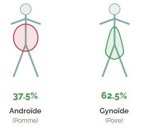 Schéma illustrant la répartition androïde et gynoïde